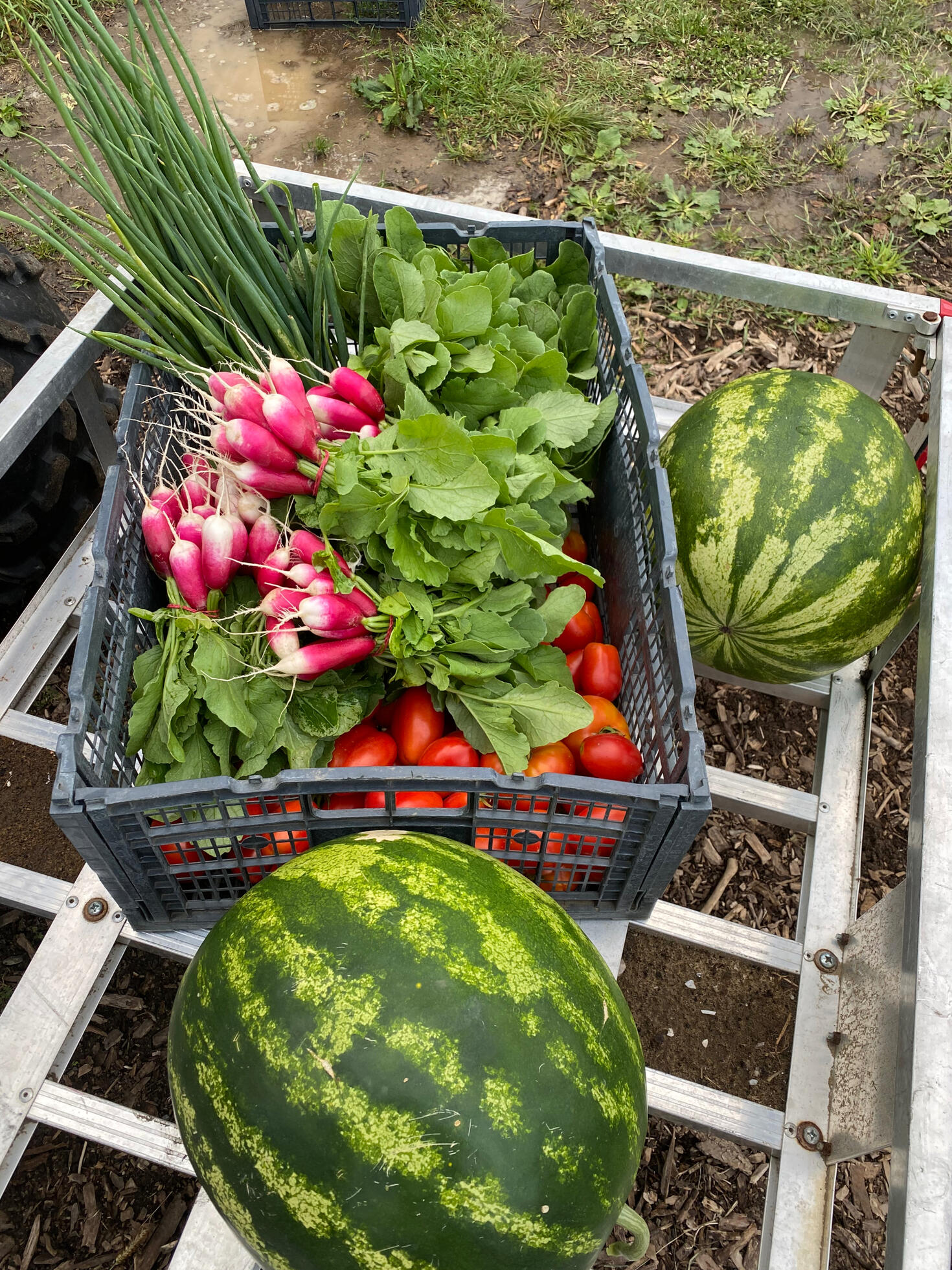 Amendements des sols Sainte-Dorothée, Laval La Nature, Maraîcher Naturel