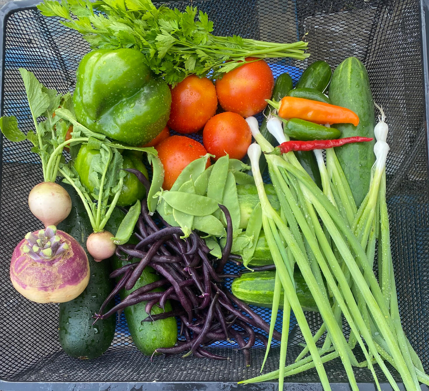 Panier ASC Sainte-Dorothée, Laval La Nature, Maraîcher Naturel